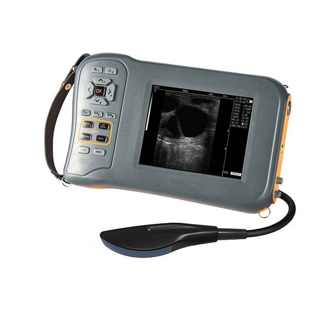 Mini Portable Veterinary Black and White Ultrasound Machine NEUVU42