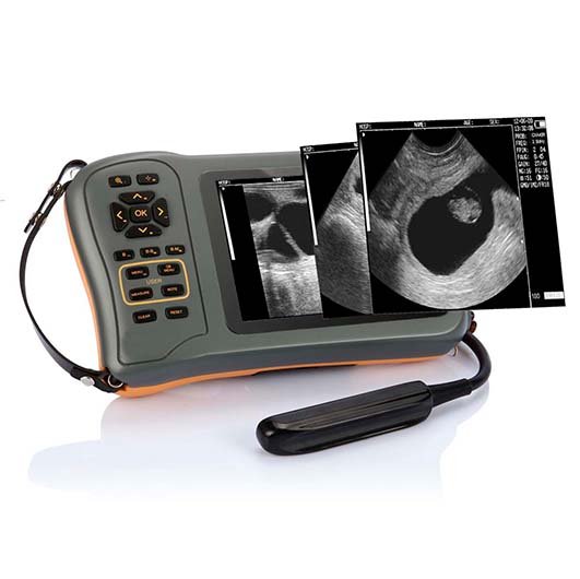 Mini Portable Veterinary Black and White Ultrasound Machine NEUVU42