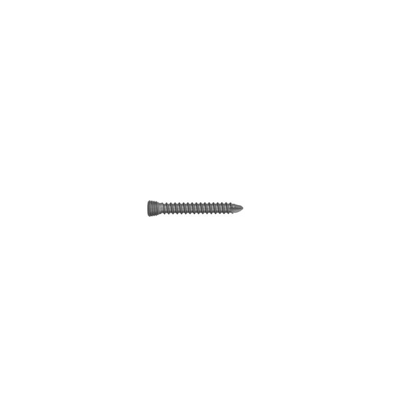 2.5mm Locking Screw