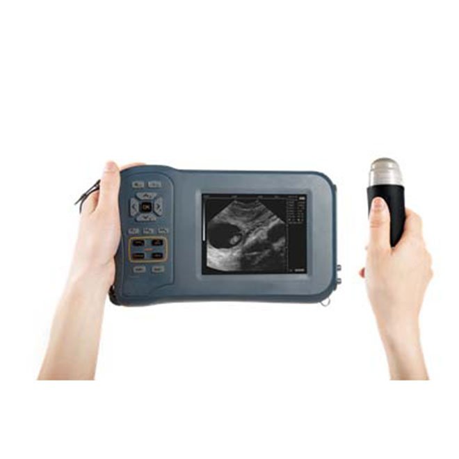 Handheld Digital Black and White Veterinary Ultrasound System Machine NEUVU44