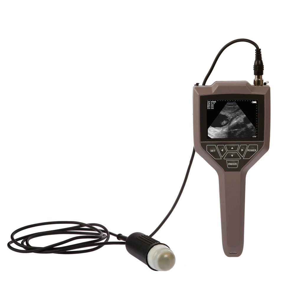 Full Digital Swine And Ovine Ultrasound Scanner Machine NEUVU43