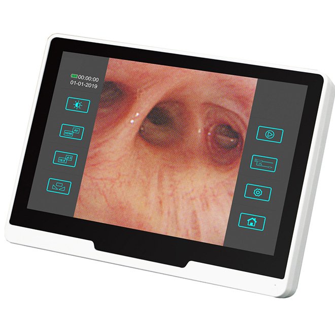 Veterinary Endoscope NEUGA285
