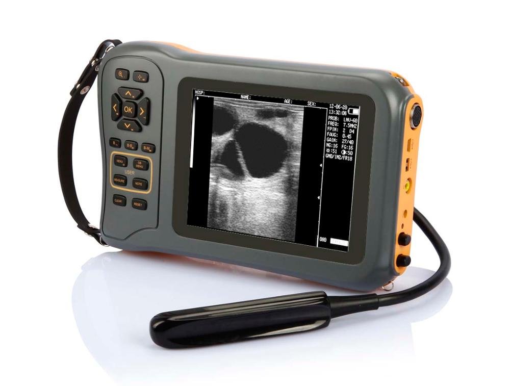 Mini Portable Veterinary Black and White Ultrasound Machine NEUVU42