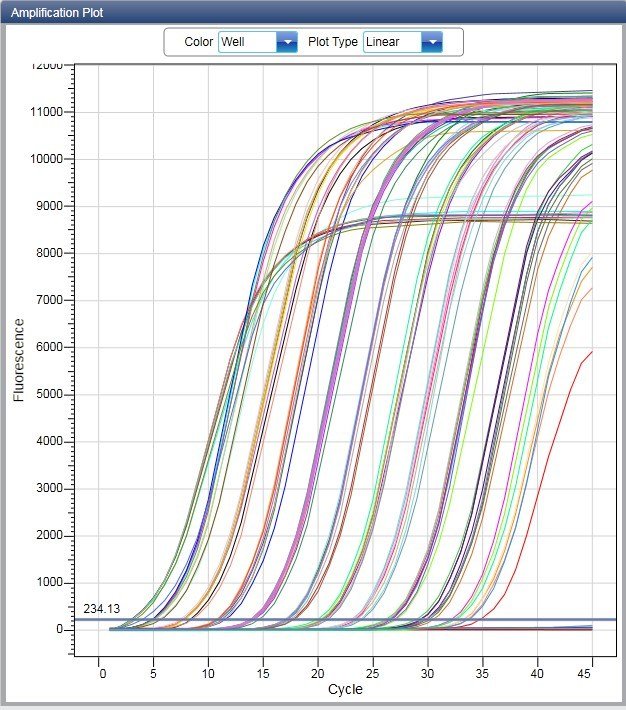 Fluorescent Quantitative PCR Machine NEUPCR04