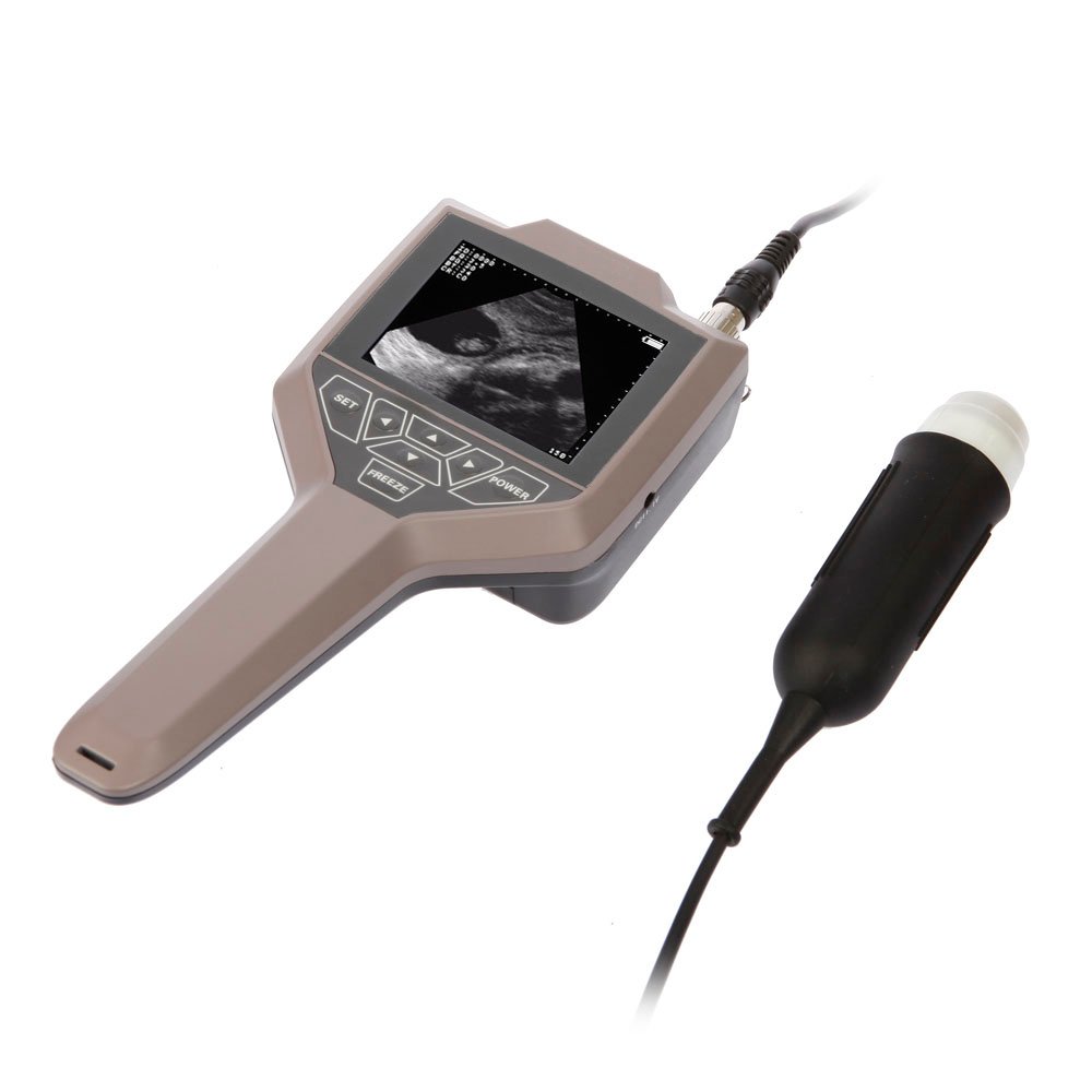 Full Digital Swine And Ovine Ultrasound Scanner Machine NEUVU43