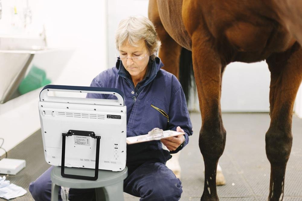 Pad Touch Veterinary Series Ultrasound System Machine NEUVU45