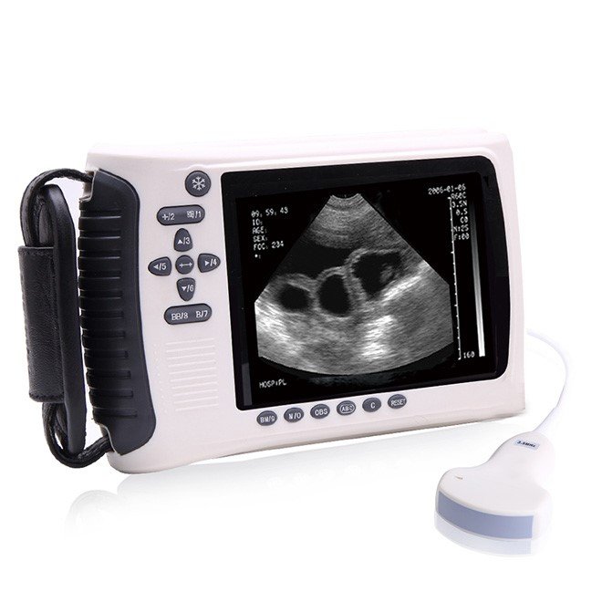 Veterinary Handheld Ultrasound Scanner NEUVU22