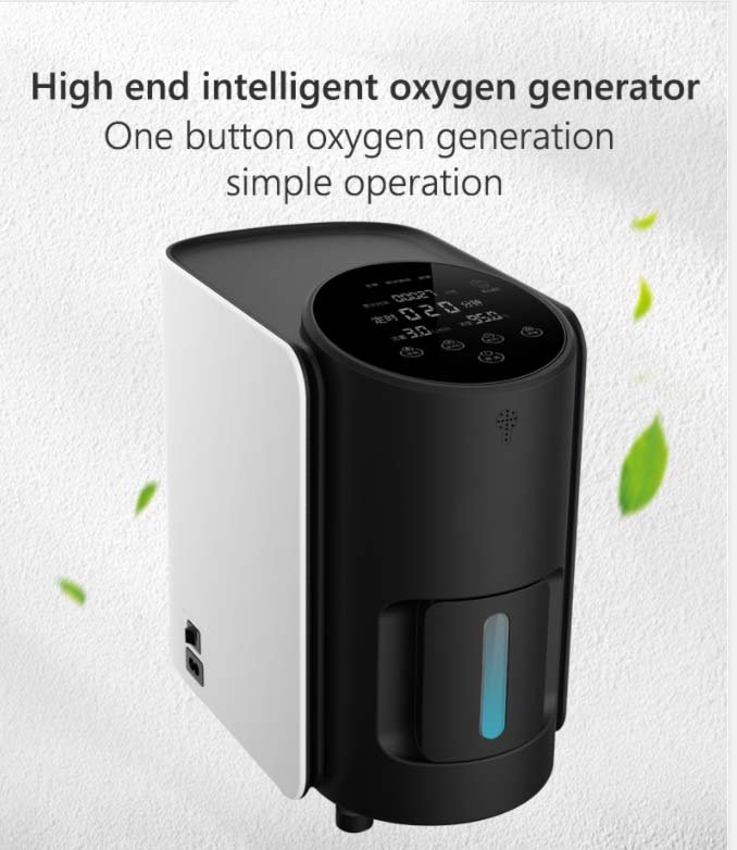 Household 5 Liter Movable Oxygen Concentrator with Smart Voice NEUZY35