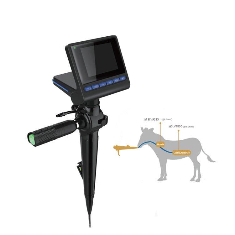 Flexible Portable Cat, Dog, Horse Endoscopy NEUV5010