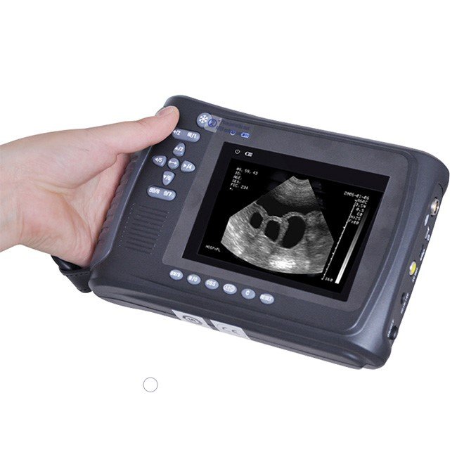 Veterinary Handheld Ultrasound Scanner NEUVU21