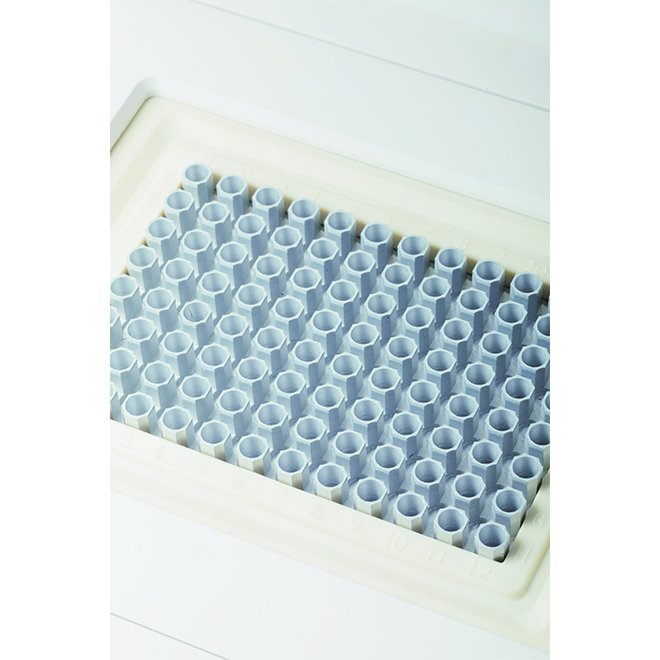 Thermo Cycler gradient NEUTC100plus