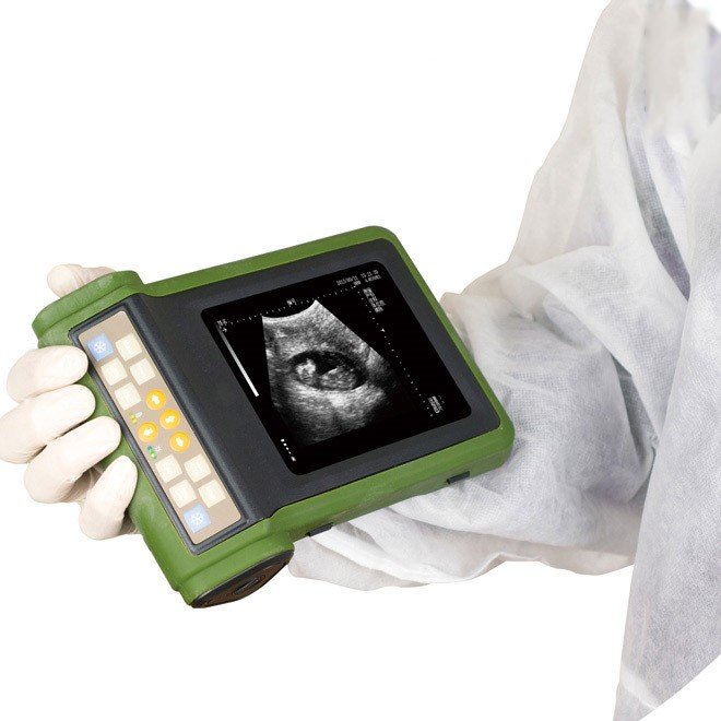 Diagnostic Ultrasound Scanner for Vet NEUVU24