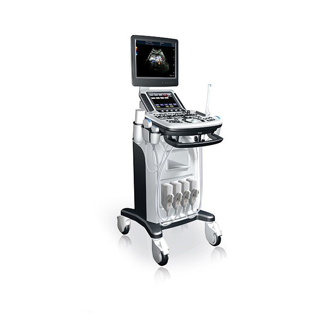 4D Transvaginal | Testicular | Renal Ultrasound NEUCU46
