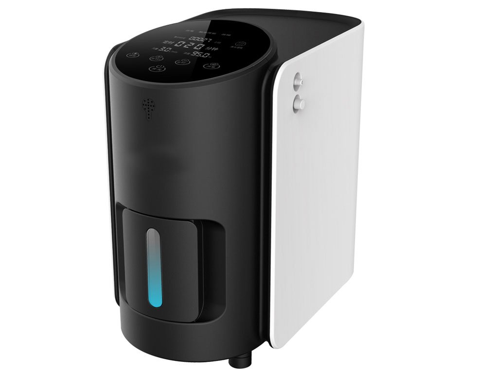 Household 5 Liter Movable Oxygen Concentrator with Smart Voice NEUZY35