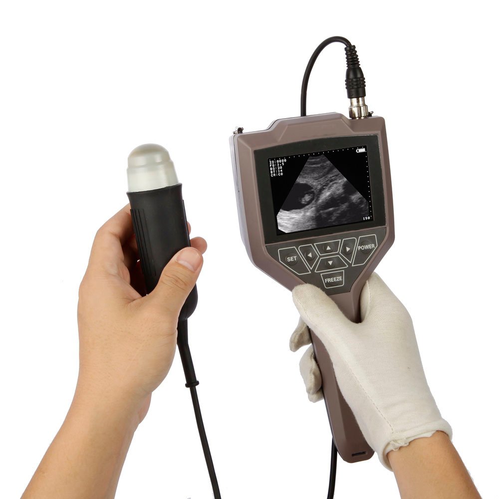 Full Digital Swine And Ovine Ultrasound Scanner Machine NEUVU43