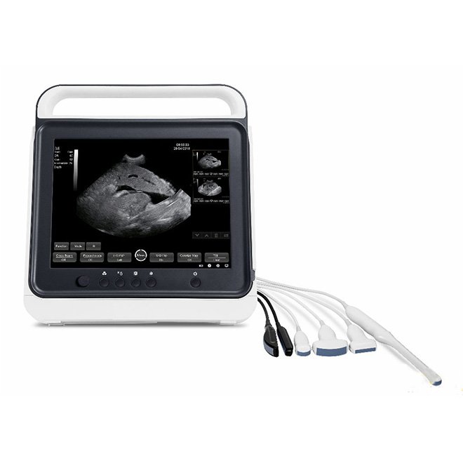 Portable Touch Screen Veterinary Ultrasound Scanner Machine NEUVU40
