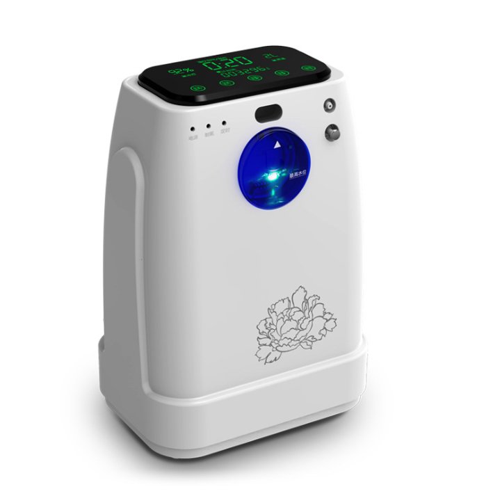 Portable Home and Hospital Use Oxygen Concentrator NEUZY30