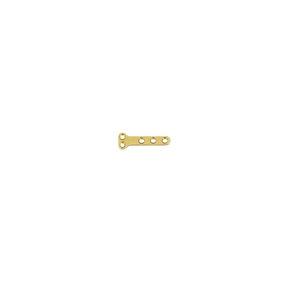 1.1mm T Type Plate (B Series) 2+3 Holes
