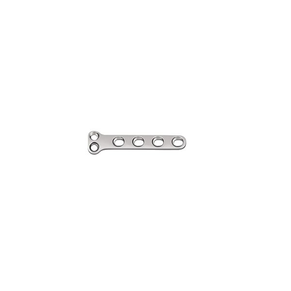 2mm T Type Plate-II (2 Holes in Head)