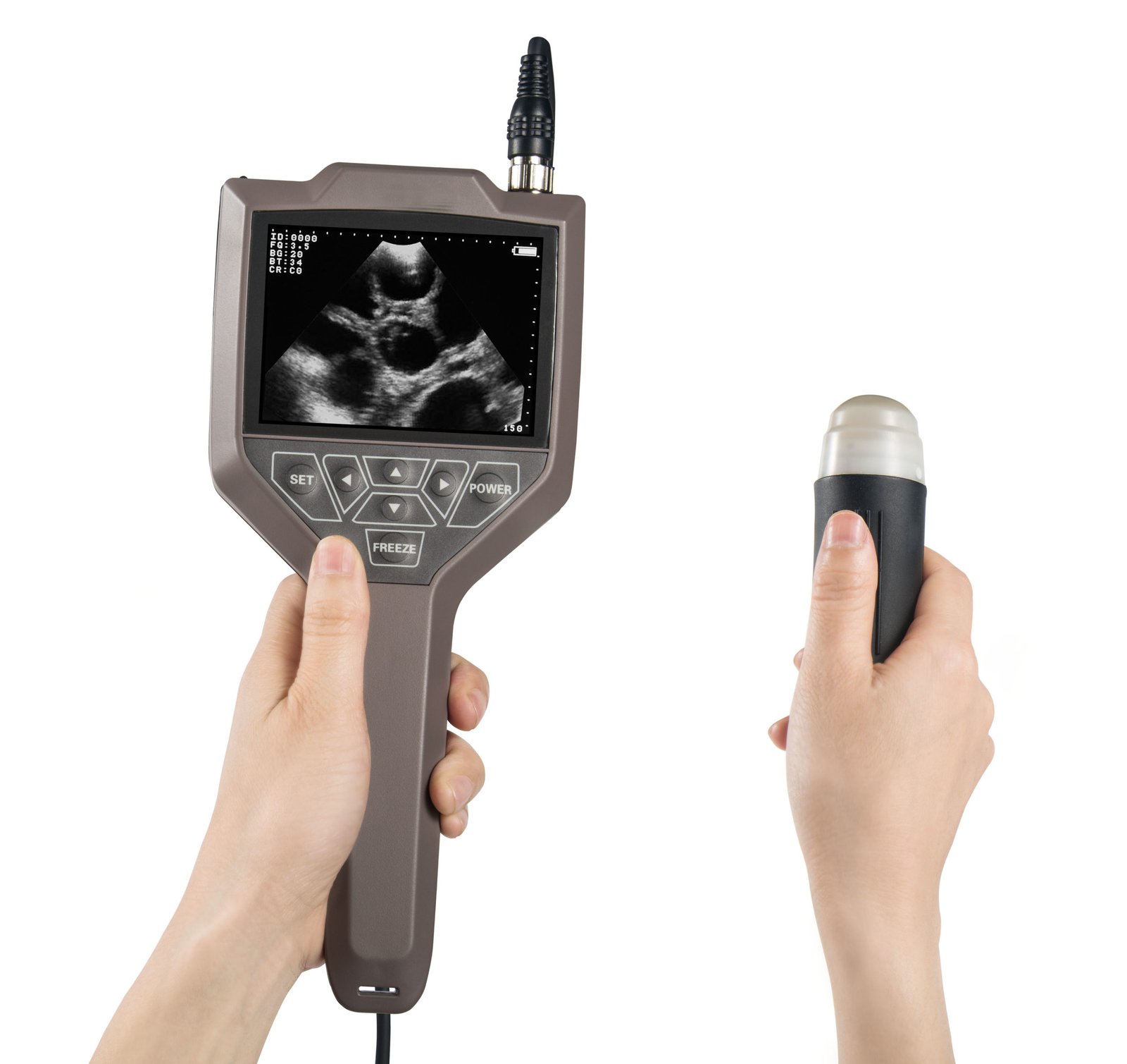 Full Digital Swine And Ovine Ultrasound Scanner Machine NEUVU43